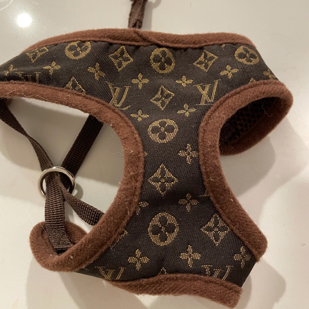 “Designer” Dog Harness for Small Dog